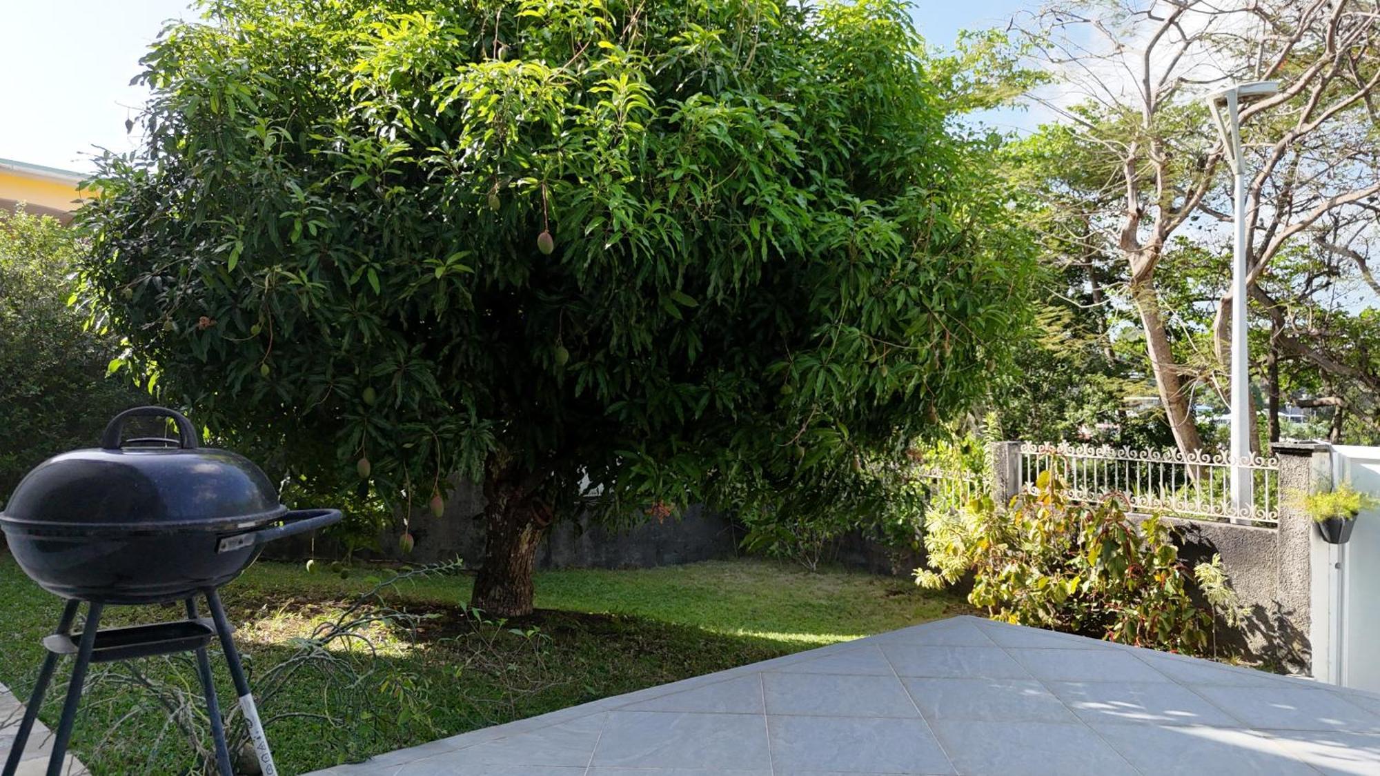 Tropical Paradise La Marina 哥西尔 外观 照片